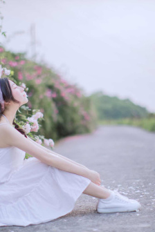 落泪成金电视剧全集免费观看
